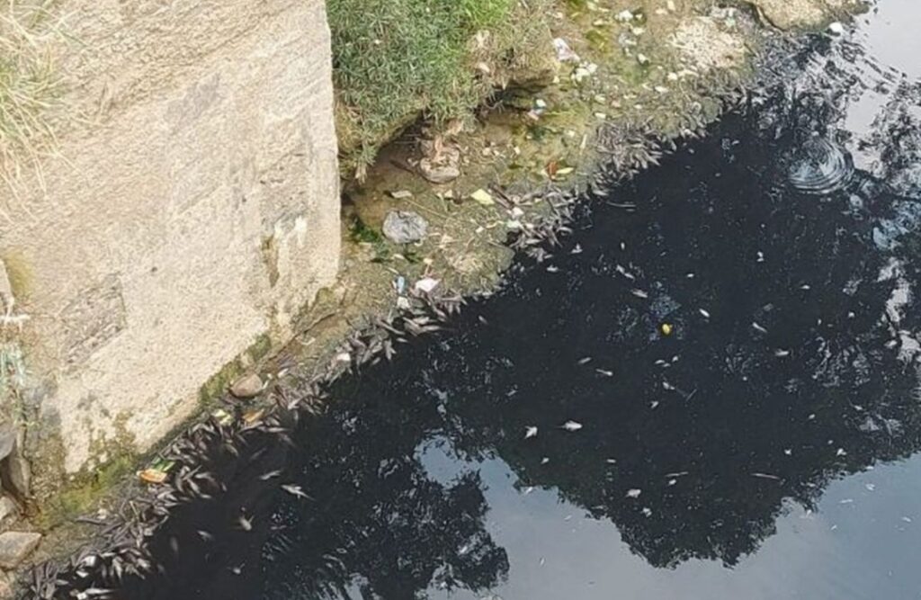 DIDUGA CEMARI SUNGAI CILEUNGSI, BUPATI BOGOR : INVENTARISASI SALURAN PABRIK NAKAL