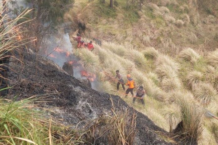 PADAMKAN KARHUTLA DI BROMO TIGA PETUGAS TEWAS LUKA BAKAR