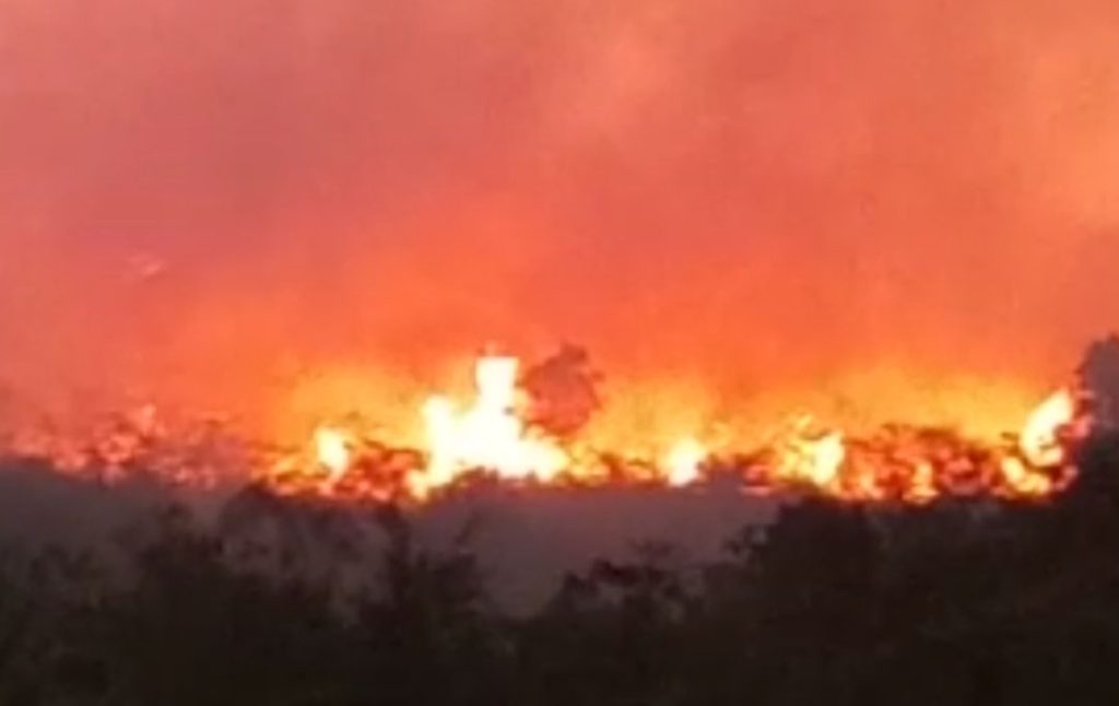 GUBERNUR JABAR SIAPKAN RP 250 PER HARI UNTUK WARGA BANTU KARHUTLA DI GUNUNG CEREMAI